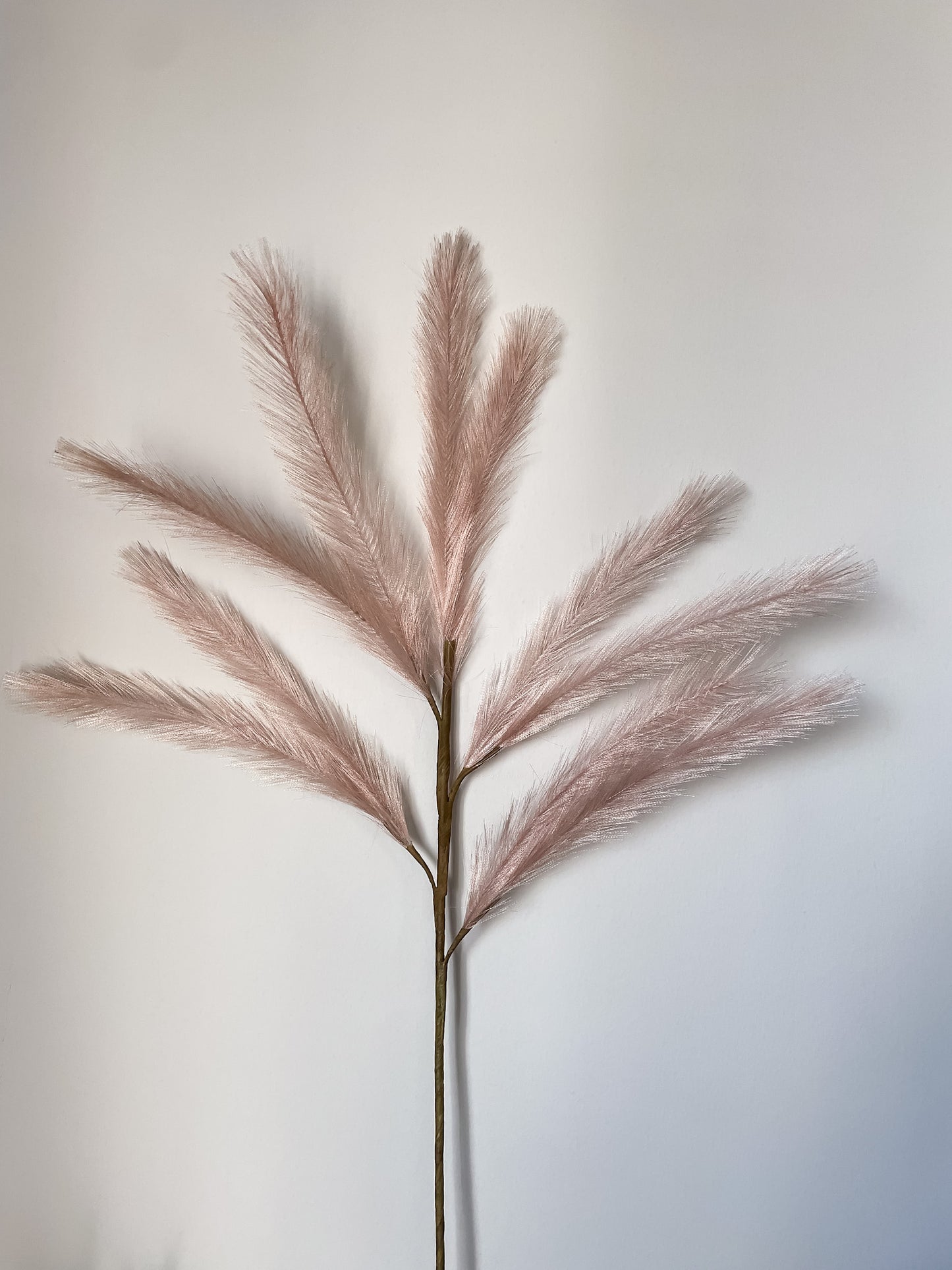 Veren tak (verschillende kleuren)