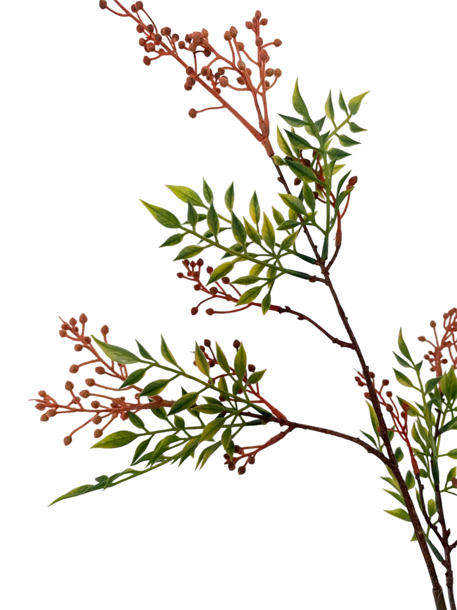 Chinese parfumplant tak in het rood. Kunstbloemen/kunsttakken.