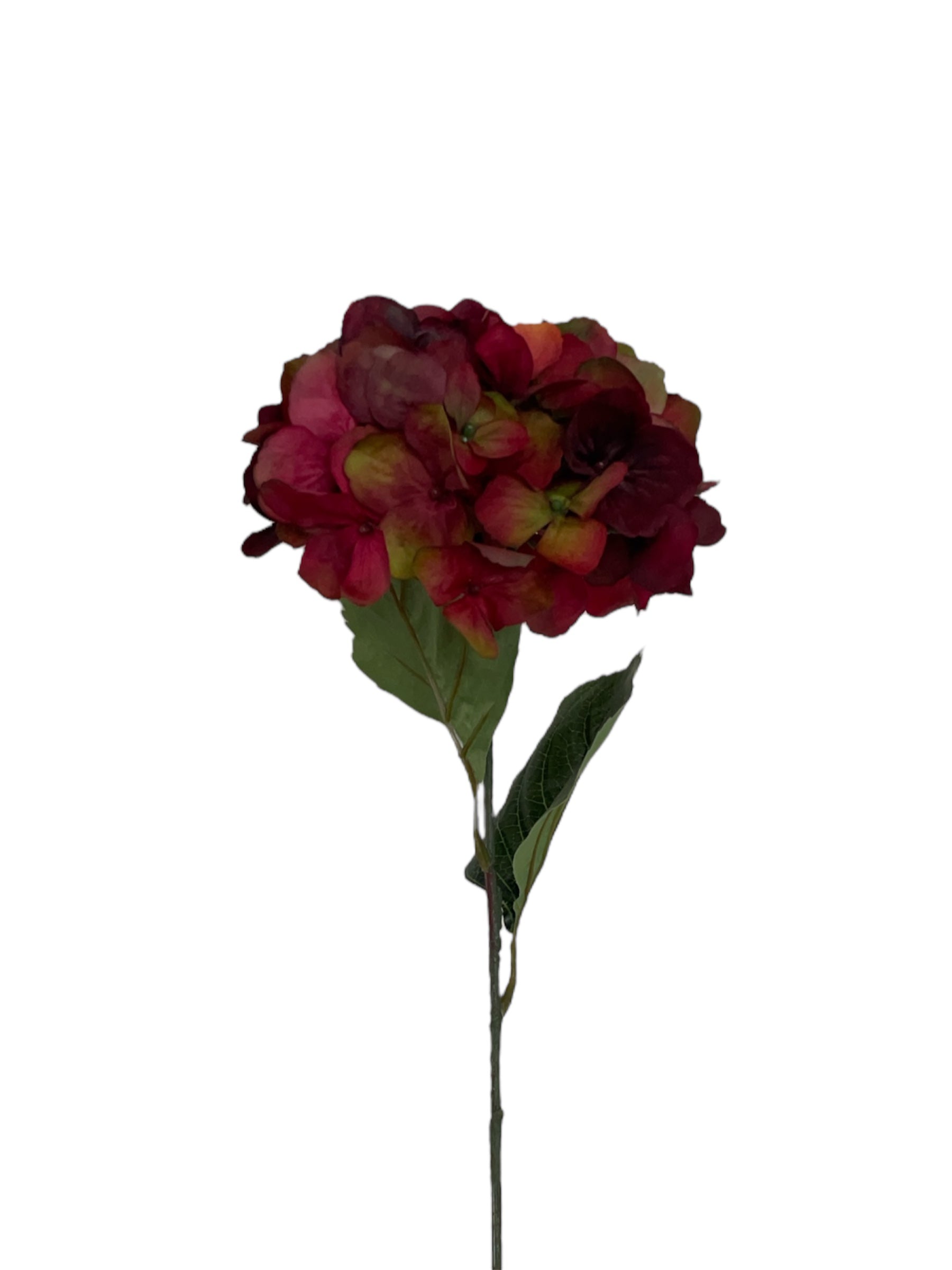 Zijden hortensia in dieprode kleur.
