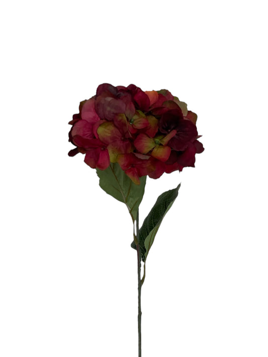 Zijden hortensia in dieprode kleur.