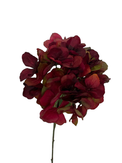 Mooie rode zijden hortensia