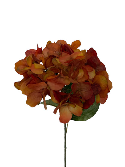 Zijden hortensia in oranje/bruine kleur.